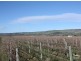 Lot 792 Main South Road, Aldinga SA 5173
