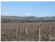 Lot 792 Main South Road, Aldinga SA 5173