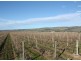 Lot 792 Main South Road, Aldinga SA 5173