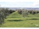 Lot 7 Main South Road TATACHILLA, Aldinga SA 5173