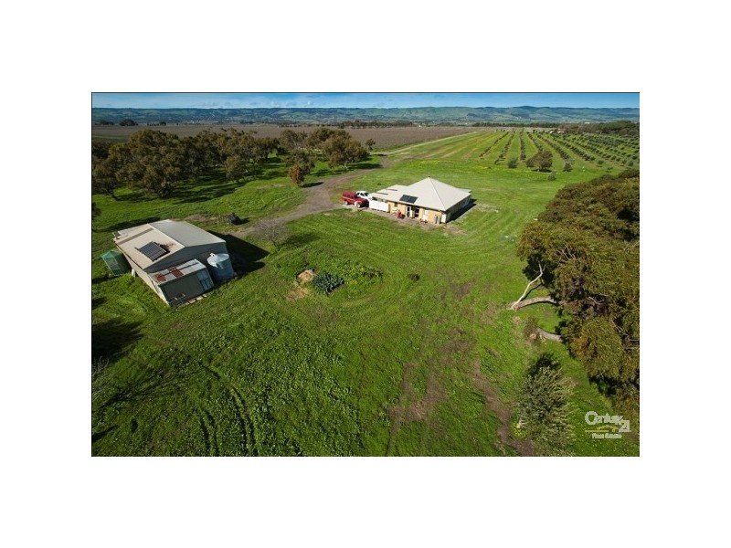 Lot 7 Main South Road TATACHILLA, Mclaren Vale SA 5171