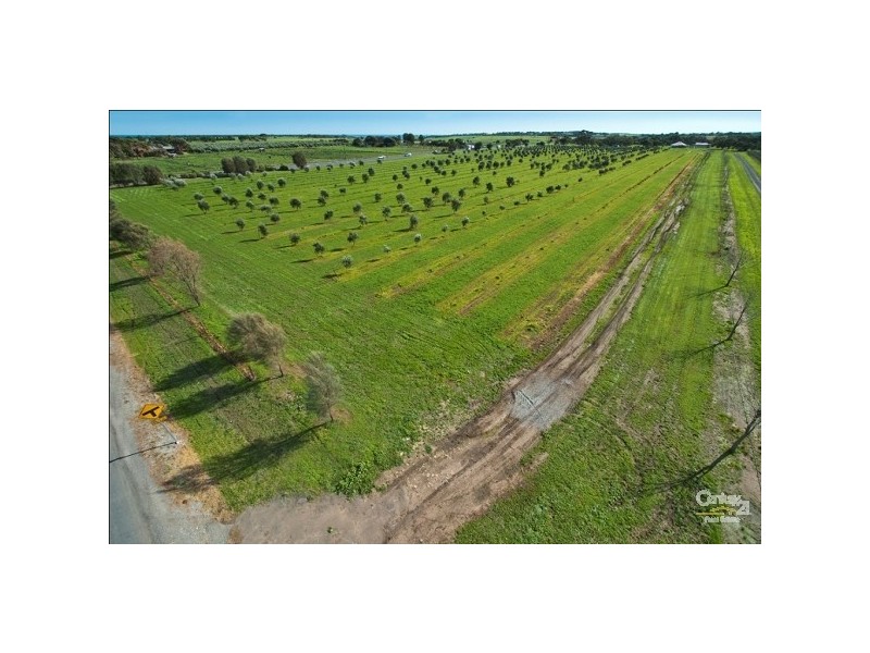 Lot 7 Main South Road TATACHILLA, Mclaren Vale SA 5171