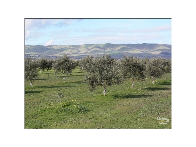 Lot 7 Main South Road TATACHILLA, Mclaren Vale SA 5171
