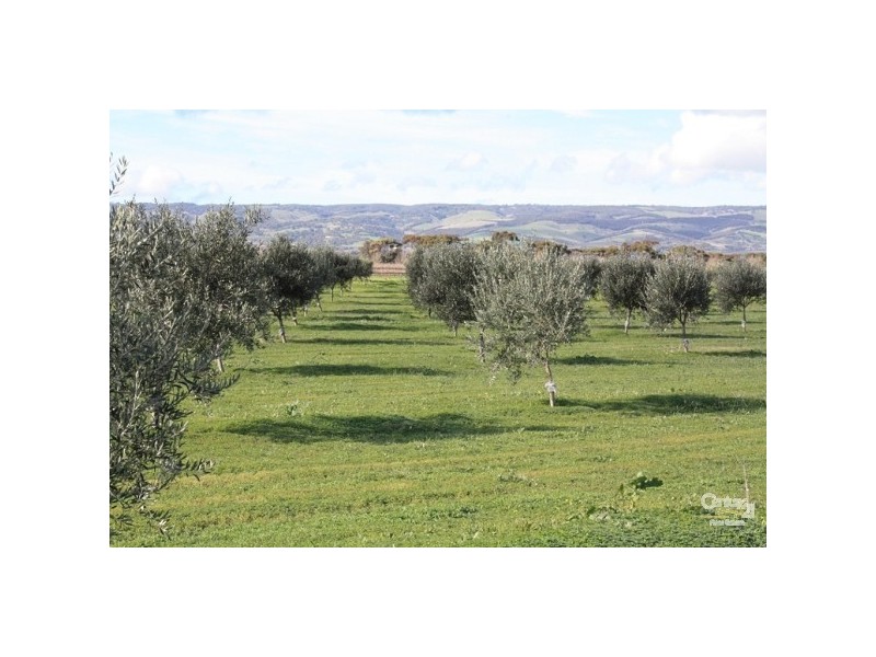 Lot 7 Main South Road TATACHILLA, Mclaren Vale SA 5171