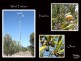 Lot 7 Main South Road, Tatachilla SA 5171