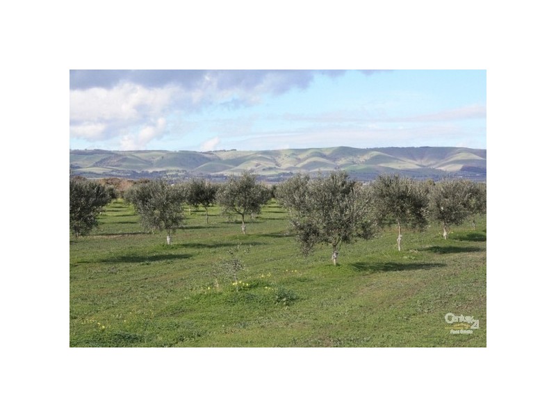 Lot 7 Main South Road, Tatachilla SA 5171