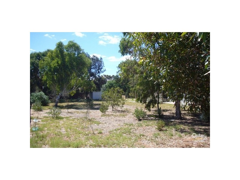 19 Boomerang Avenue, Aldinga Beach SA 5173