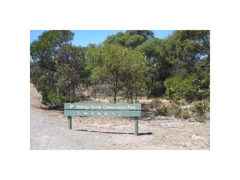 19 Boomerang Avenue, Aldinga Beach SA 5173