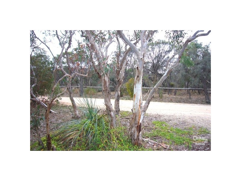 37 Acacia Terrace, Aldinga Beach SA 5173