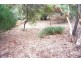 37 Acacia Terrace, Aldinga Beach SA 5173