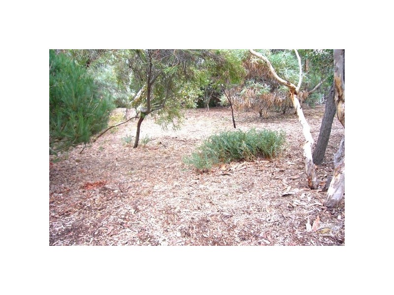 37 Acacia Terrace, Aldinga Beach SA 5173