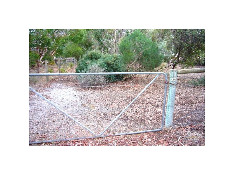 37 Acacia Terrace, Aldinga Beach SA 5173