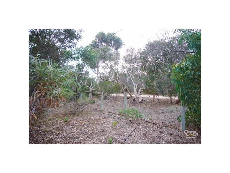 37 Acacia Terrace, Aldinga Beach SA 5173