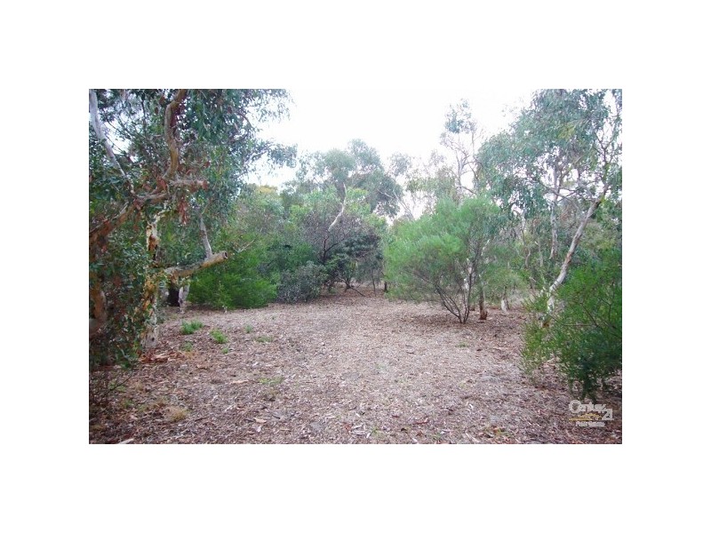 37 Acacia Terrace, Aldinga Beach SA 5173