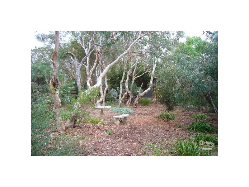 37 Acacia Terrace, Aldinga Beach SA 5173