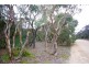 37 Acacia Terrace, Aldinga Beach SA 5173