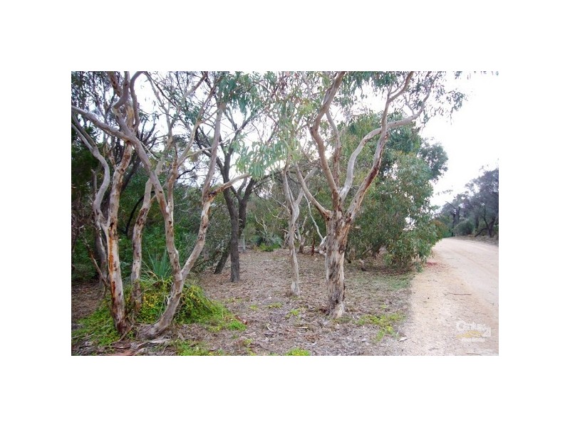 37 Acacia Terrace, Aldinga Beach SA 5173
