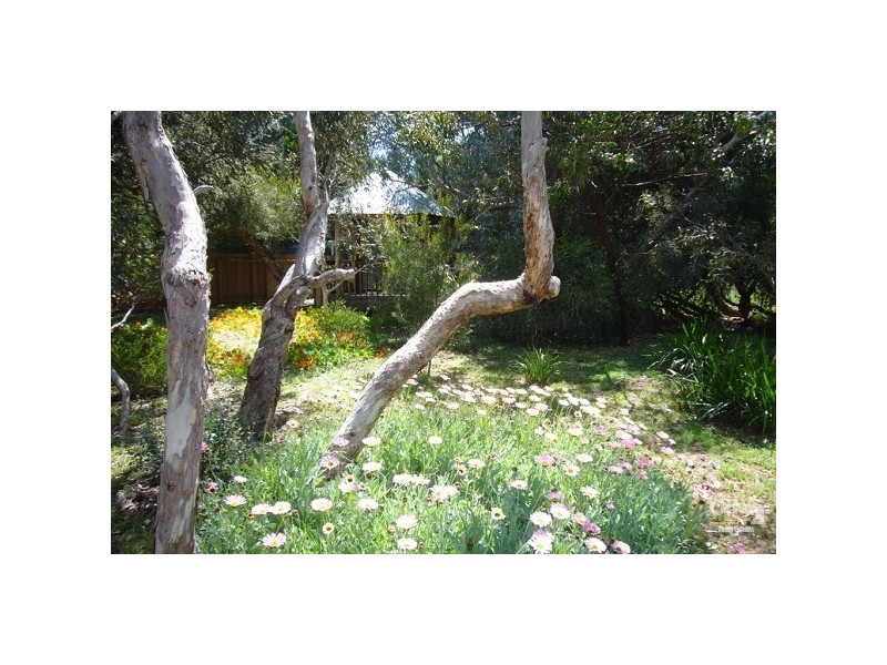37 Acacia Terrace, Aldinga Beach SA 5173