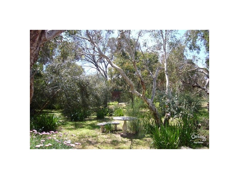 37 Acacia Terrace, Aldinga Beach SA 5173
