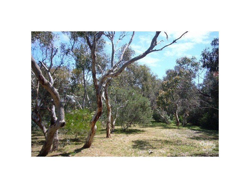 37 Acacia Terrace, Aldinga Beach SA 5173