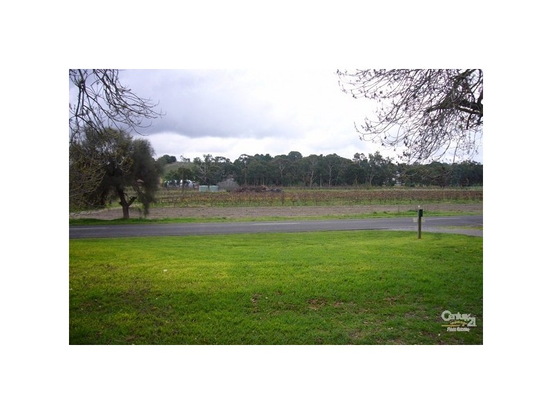 Lot 96 Douglas Gully Road, Mclaren Flat SA 5171