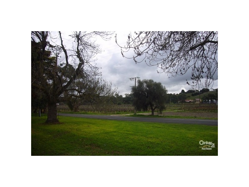 Lot 96 Douglas Gully Road, Mclaren Flat SA 5171