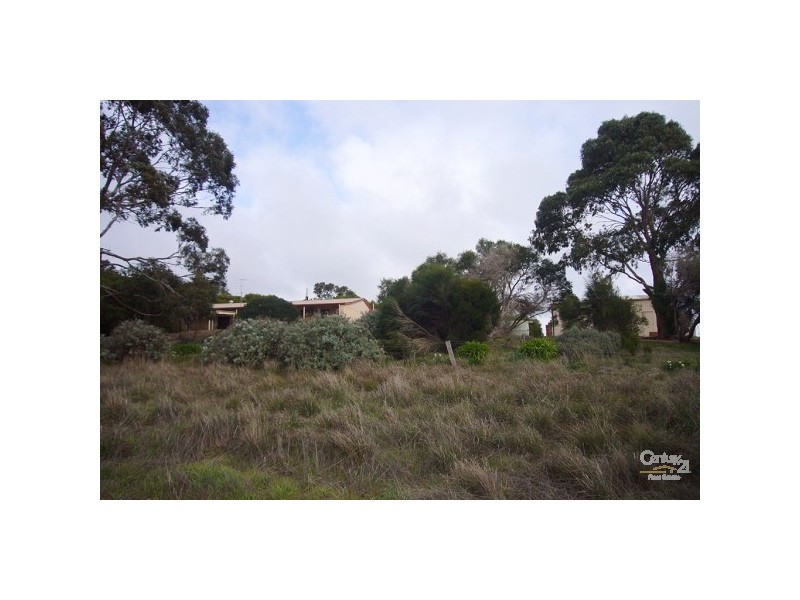 Lots 53 & 54 Wild Dog Creek Road, Wattle Flat SA 5203