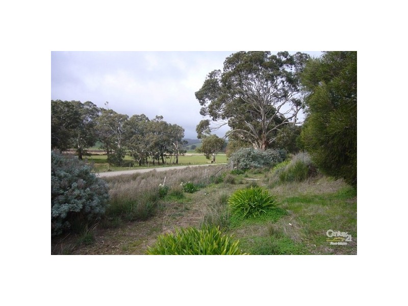 Lots 53 & 54 Wild Dog Creek Road, Wattle Flat SA 5203