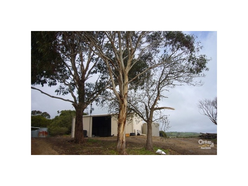 Lots 53 & 54 Wild Dog Creek Road, Wattle Flat SA 5203