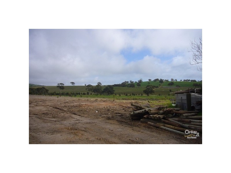 Lots 53 & 54 Wild Dog Creek Road, Wattle Flat SA 5203