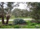 Lots 53 & 54 Wild Dog Creek Road, Wattle Flat SA 5203