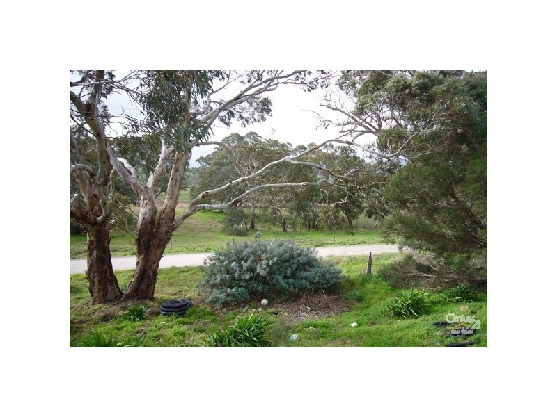 Lots 53 & 54 Wild Dog Creek Road, Wattle Flat SA 5203