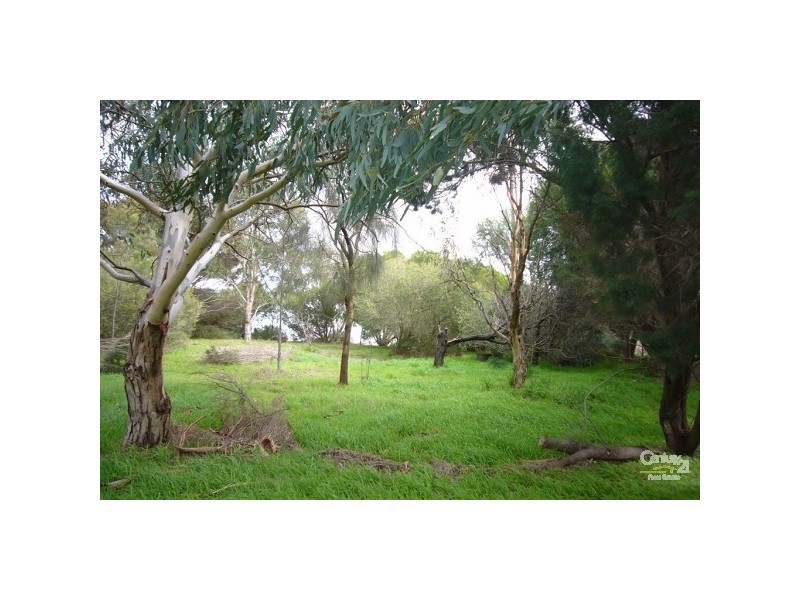 Lots 53 & 54 Wild Dog Creek Road, Wattle Flat SA 5203