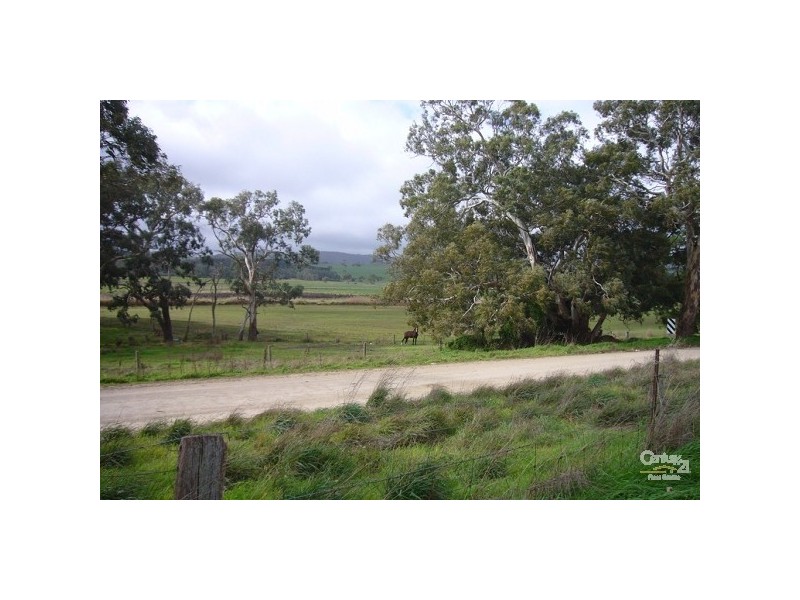 Lots 53 & 54 Wild Dog Creek Road, Wattle Flat SA 5203