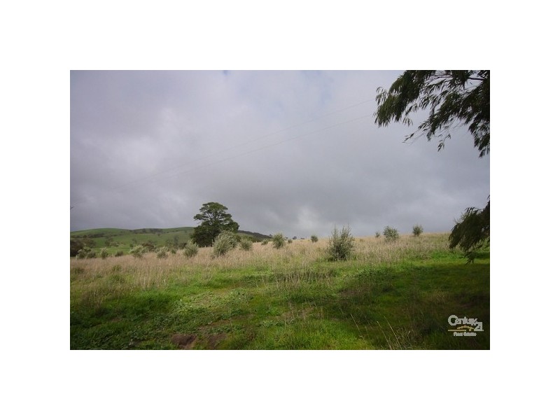 Lots 53 & 54 Wild Dog Creek Road, Wattle Flat SA 5203