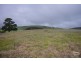 Lots 53 & 54 Wild Dog Creek Road, Wattle Flat SA 5203