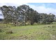 Lots 53 & 54 Wild Dog Creek Road, Wattle Flat SA 5203