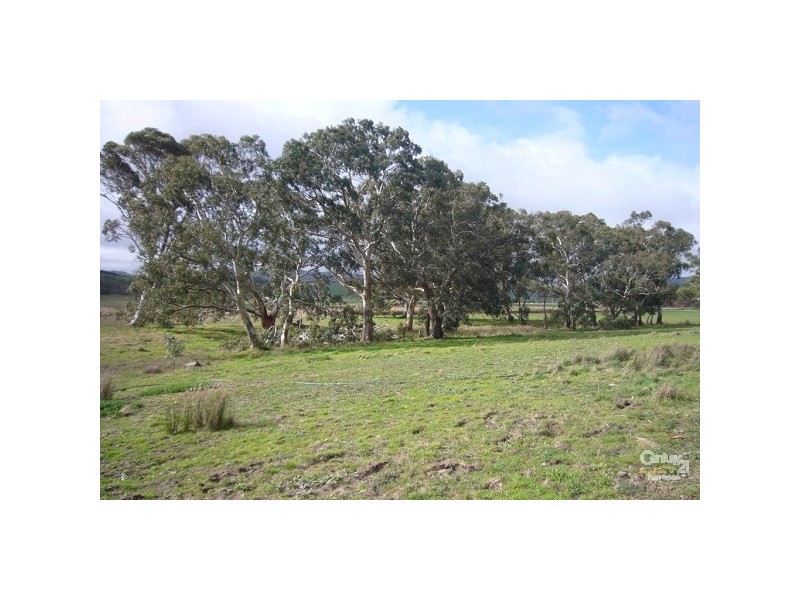 Lots 53 & 54 Wild Dog Creek Road, Wattle Flat SA 5203