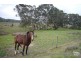 Lots 53 & 54 Wild Dog Creek Road, Wattle Flat SA 5203