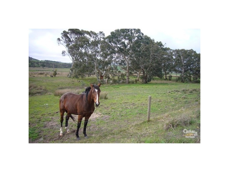 Lots 53 & 54 Wild Dog Creek Road, Wattle Flat SA 5203