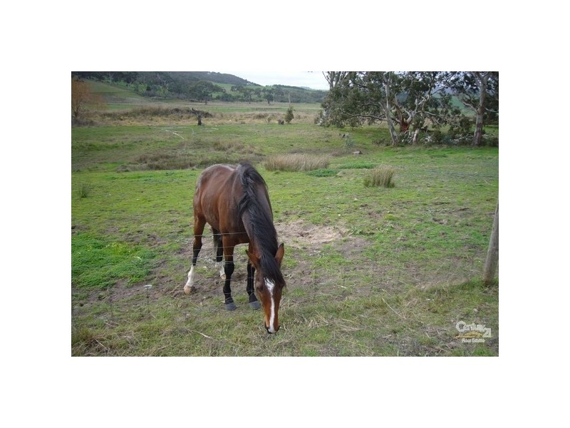 Lots 53 & 54 Wild Dog Creek Road, Wattle Flat SA 5203