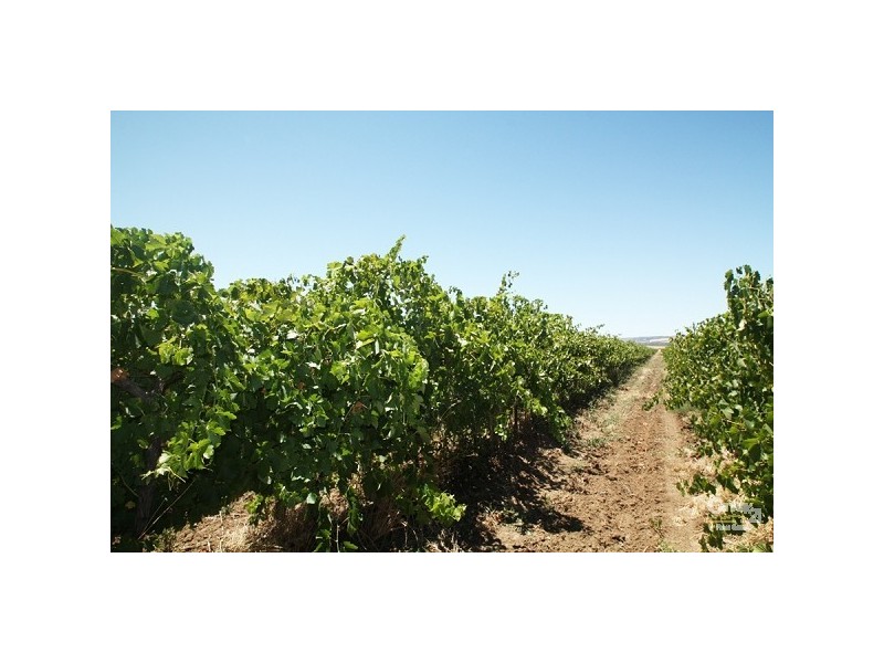 Lot 792 Main South Road, Aldinga SA 5173