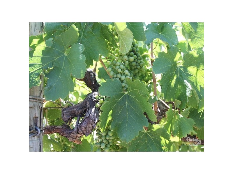 Lot 792 Main South Road, Aldinga SA 5173