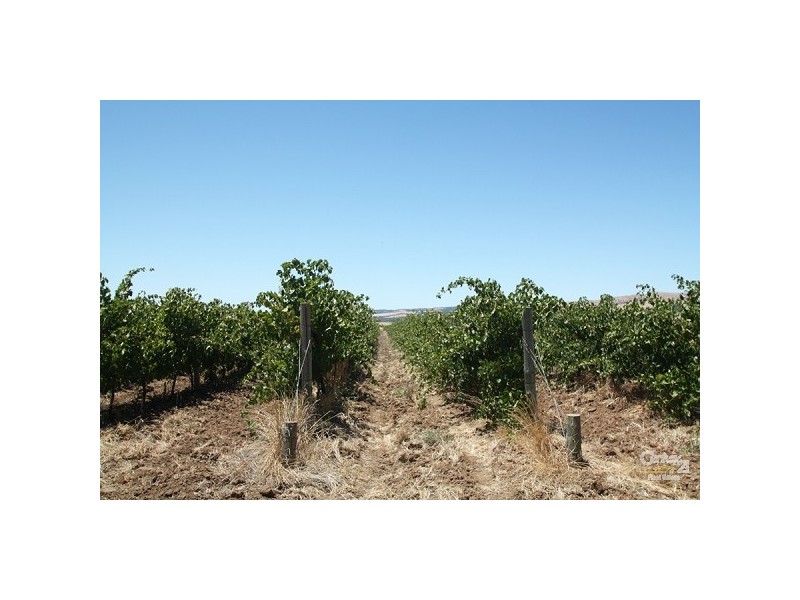 Lot 792 Main South Road, Aldinga SA 5173