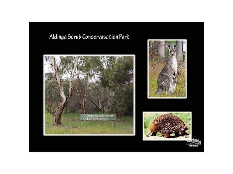 Lot 792 Main South Road, Aldinga SA 5173