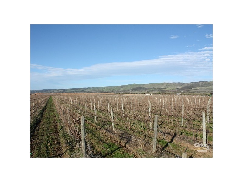 Lot 792 Main South Road, Aldinga SA 5173