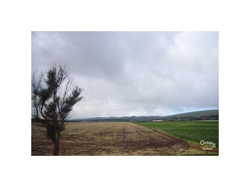 Lot 135 Silver Cloud Grove, Sellicks Beach SA 5174