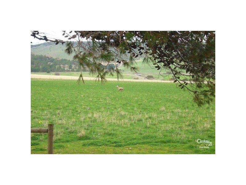 Lot 135 Silver Cloud Grove, Sellicks Beach SA 5174