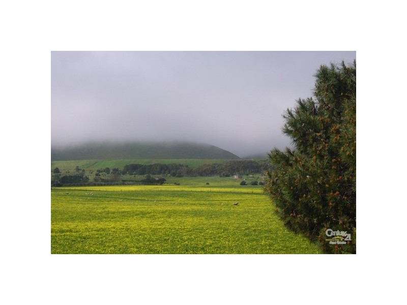 Lot 135 Silver Cloud Grove, Sellicks Beach SA 5174