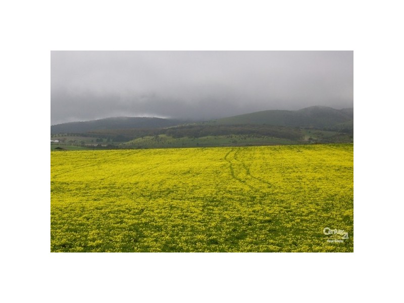 Lot 135 Silver Cloud Grove, Sellicks Beach SA 5174